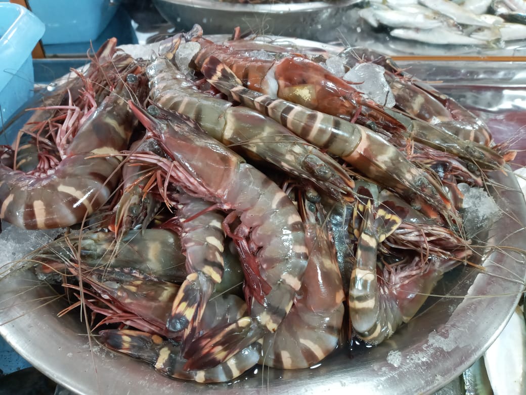 REAL FISH & & MEAT( THAVAKKARA BUS STAND)