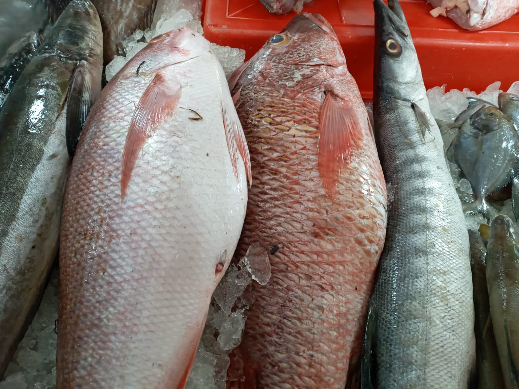 REAL FISH & & MEAT( THAVAKKARA BUS STAND)