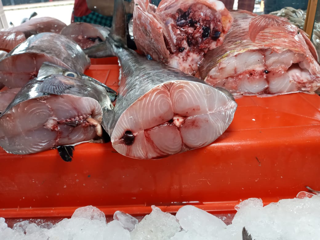 REAL FISH & & MEAT( THAVAKKARA BUS STAND)