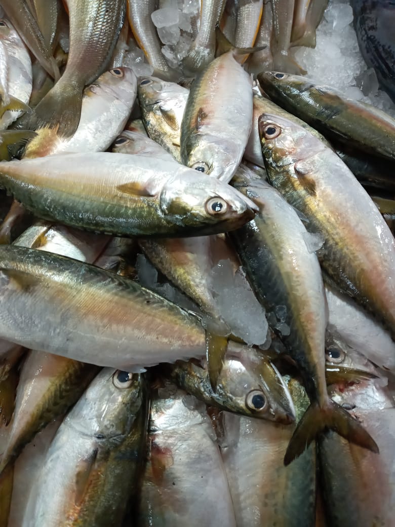 REAL FISH & & MEAT( THAVAKKARA BUS STAND)