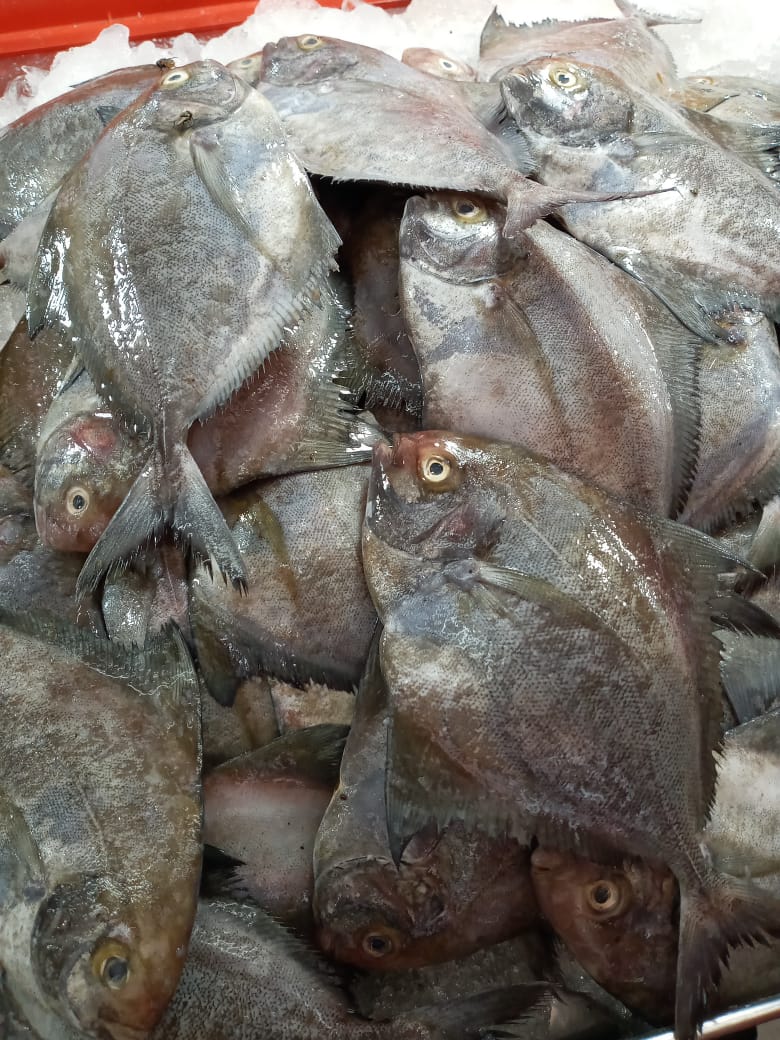 REAL FISH & & MEAT( THAVAKKARA BUS STAND)